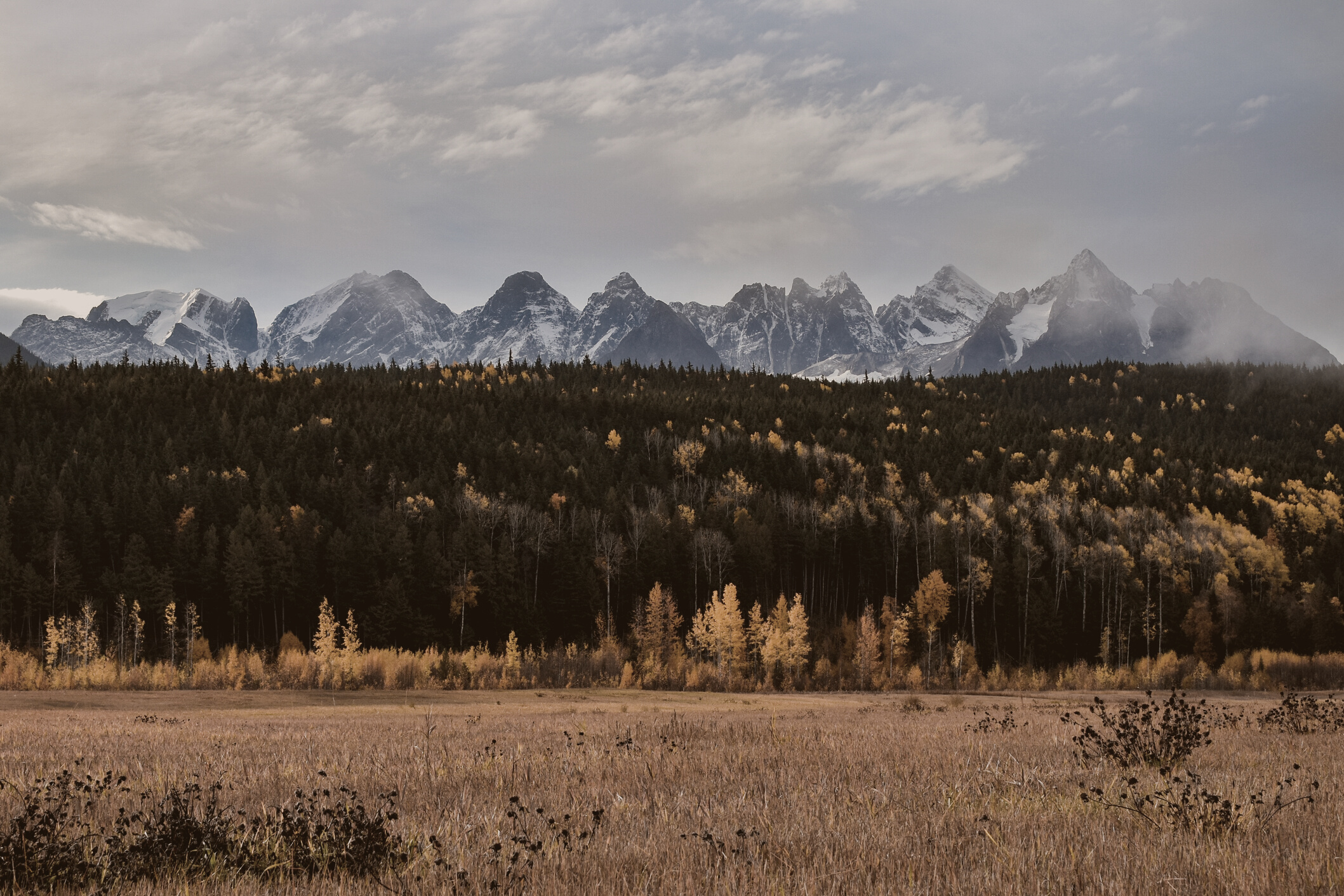 Autumn Landscape